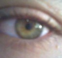 yeu